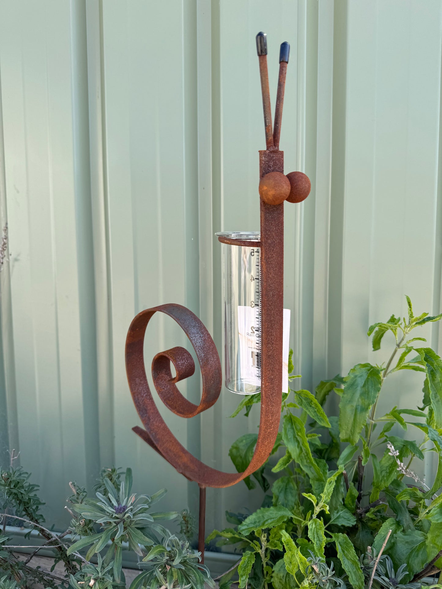 SNAIL RAIN GAUGE