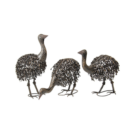 Asstorted Emu Chicks