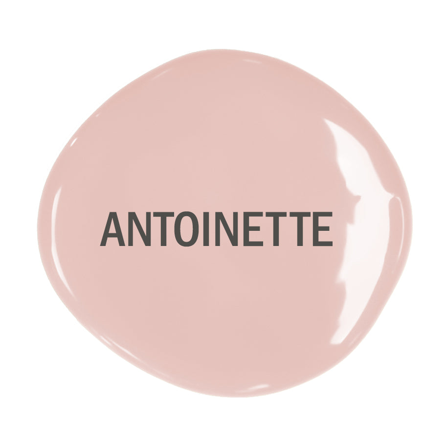 ANNIE SLOAN CHALK PAINT -  ANTOINETTE