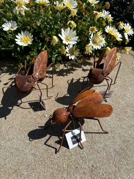 Garden insect metal