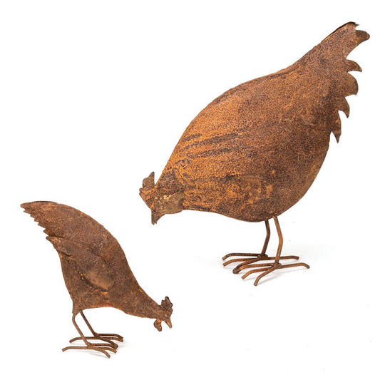 Chickens feeding set of 2