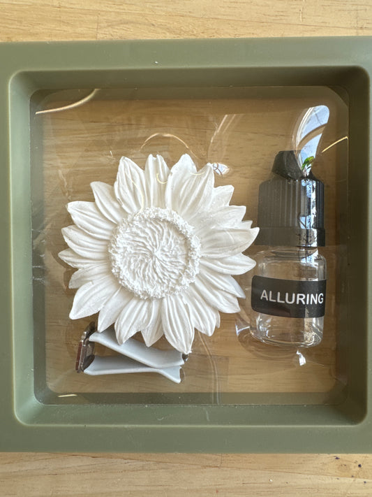 SCENTED CERAMIC CLIP